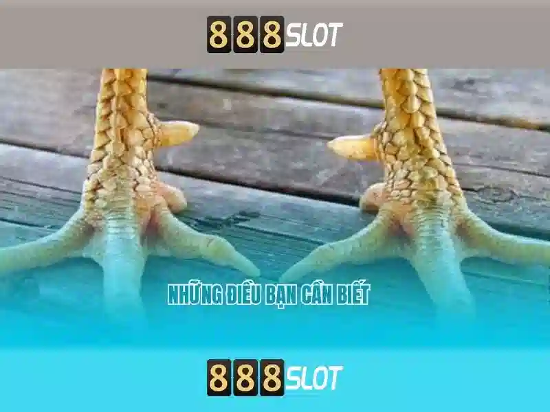 💎toi đanh bac💎