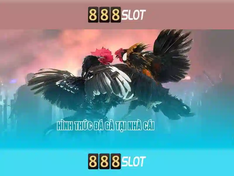 💎nha cai uy tin gnt💎