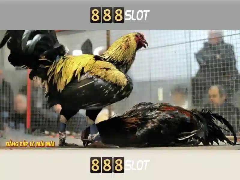 💎dat slot is tweemaal afgelopen💎