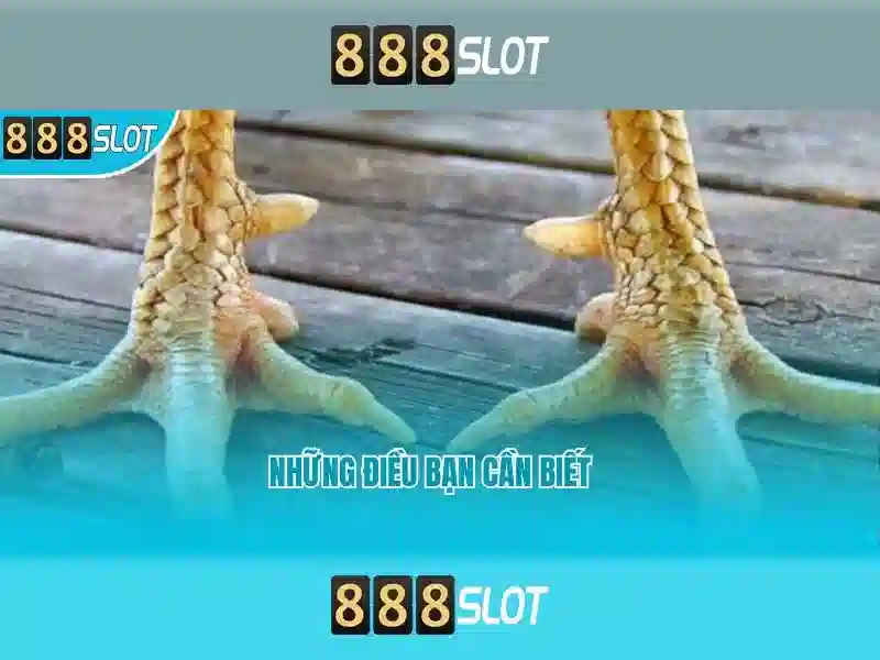 💎8u cc suncity nhà cái💎