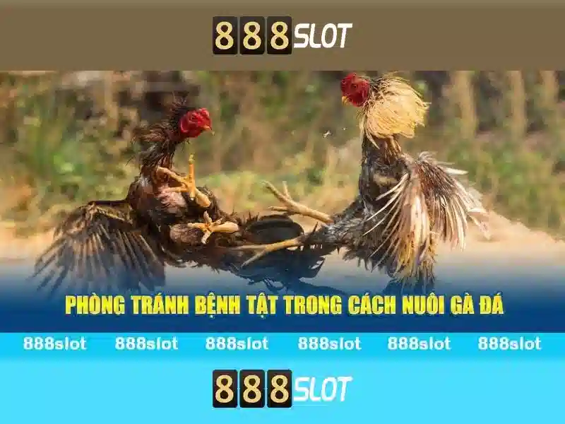 💎new88 link nhà cái💎