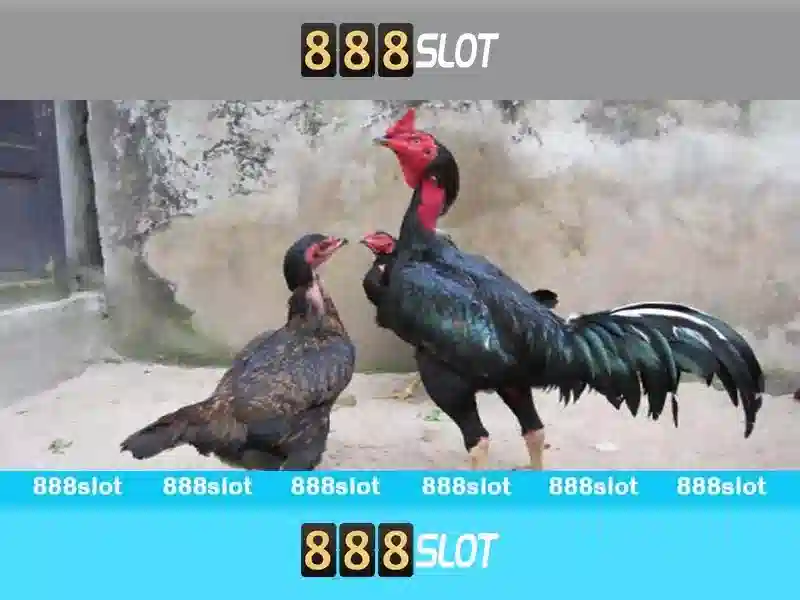 trải nghiệm - 888slot